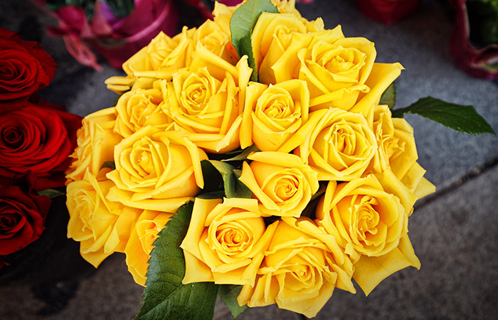 Yellow Flowers For Friends